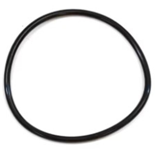 BMW THROTTLE BODY O-RING